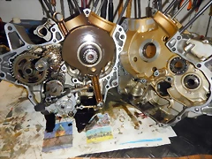 DSCN1520 DSCN1520