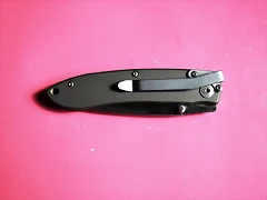 DSCF1677 DSCF1677