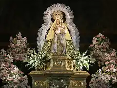 11, la virgen, marca