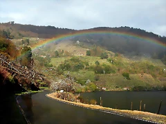 DSCN8308