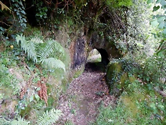 DSCN1362 DSCN1362