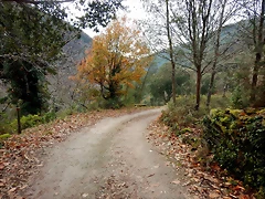 DSCN3270 DSCN3270