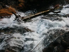 DSCN6698 DSCN6698
