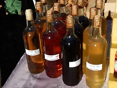DSCN0215 DSCN0215