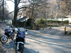 DSCN6739 DSCN6739