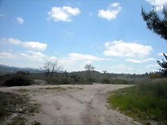 DSCN5381