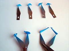 P1010004