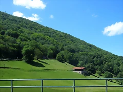 IMG_2772 IMG_2772