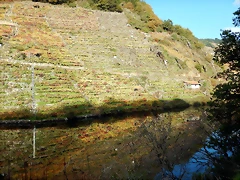 DSCN9810 DSCN9810