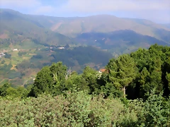 48-IMG_2389