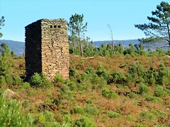 43-IMG_4278 43-IMG_4278