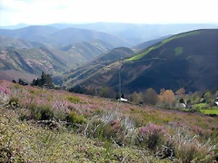 DSCN9030 DSCN9030