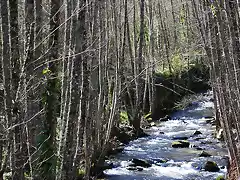 Camino del Agua. Mogarraz Monforte 8 marzo 14 (179)