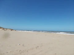 DSCN0817