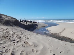 DSCN0810