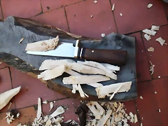 DSCF1398 DSCF1398