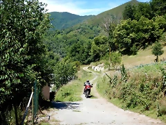 DSCN8197 DSCN8197