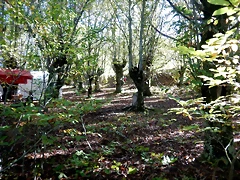 DSCN0171'5