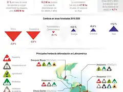 AltCOP26-Los-lideres-mundiales-se-comprometen-contra-la-deforestacion-Infografia-de-Agencia-EFE- (1)