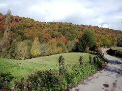DSCN8304 DSCN8304