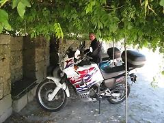IMG_4986 IMG_4986