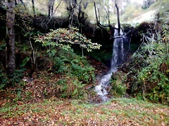 DSCN2930 DSCN2930