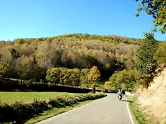 DSCN8830 DSCN8830