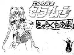 settei-sailormoon-009