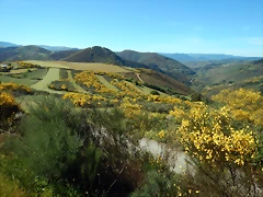 DSCN0976