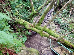 DSCN5830 DSCN5830
