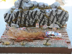 DSC_1297 DSC_1297