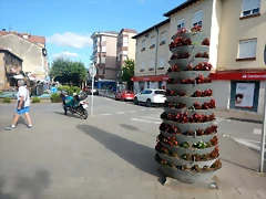DSCN8706 DSCN8706