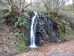 DSCN0901 DSCN0901