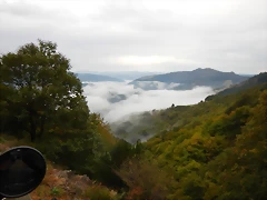 DSCN8393 DSCN8393