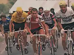 TOUR 1977-THEVENET-VAN IMPE-ZOETTEMELK.