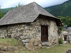 IMG_6672 IMG_6672