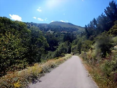 DSCN4541 DSCN4541