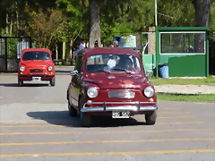P1190099 P1190099