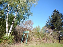 DSCN4396 DSCN4396
