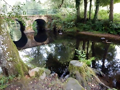 DSCN8407