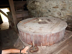 DSCN4555 DSCN4555