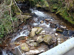 DSCN8166 DSCN8166
