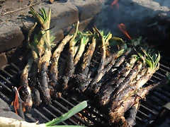 IMG_1097 IMG_1097