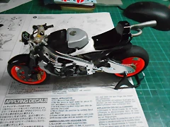 DSCN4641 DSCN4641