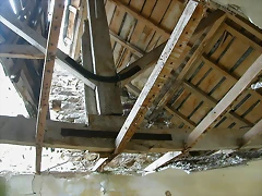 DSCN9582 DSCN9582