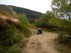 DSCN9972 DSCN9972