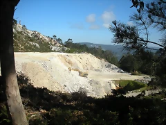 DSCN6842 DSCN6842