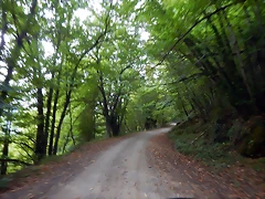 DSCN9549 DSCN9549