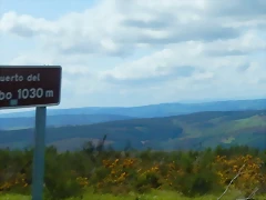 DSCN0773