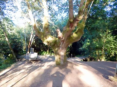 DSCN9721 DSCN9721
